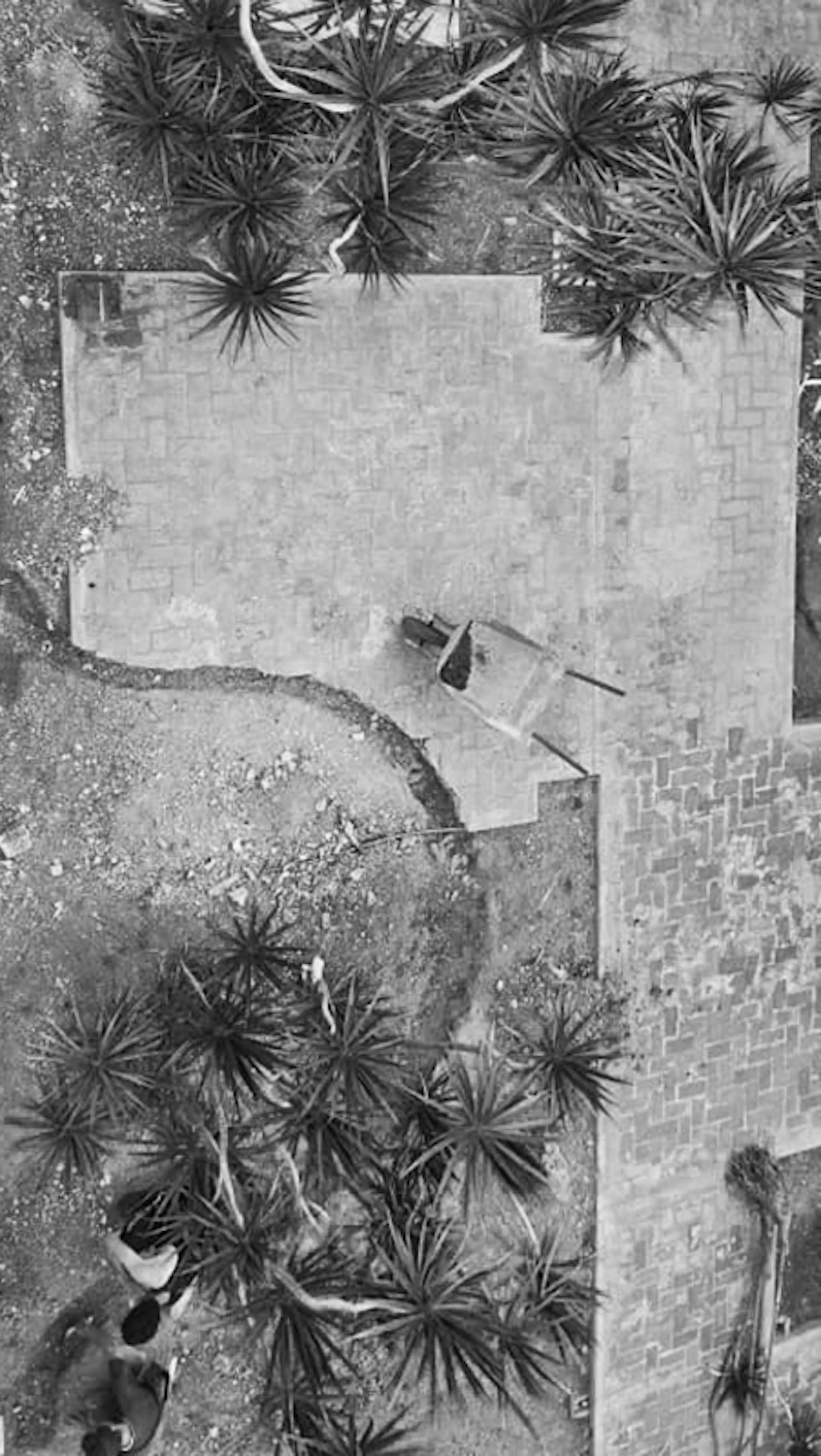 MANSION (8/11) Photo #2