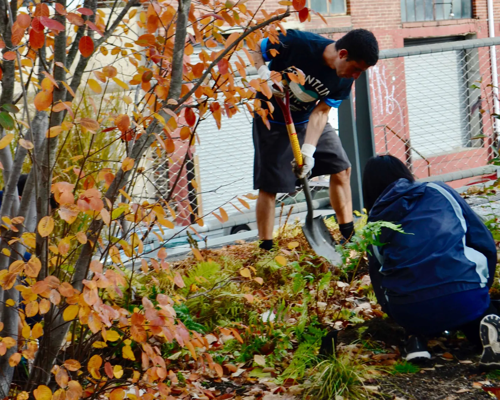 Two volunteers work in a planting bed