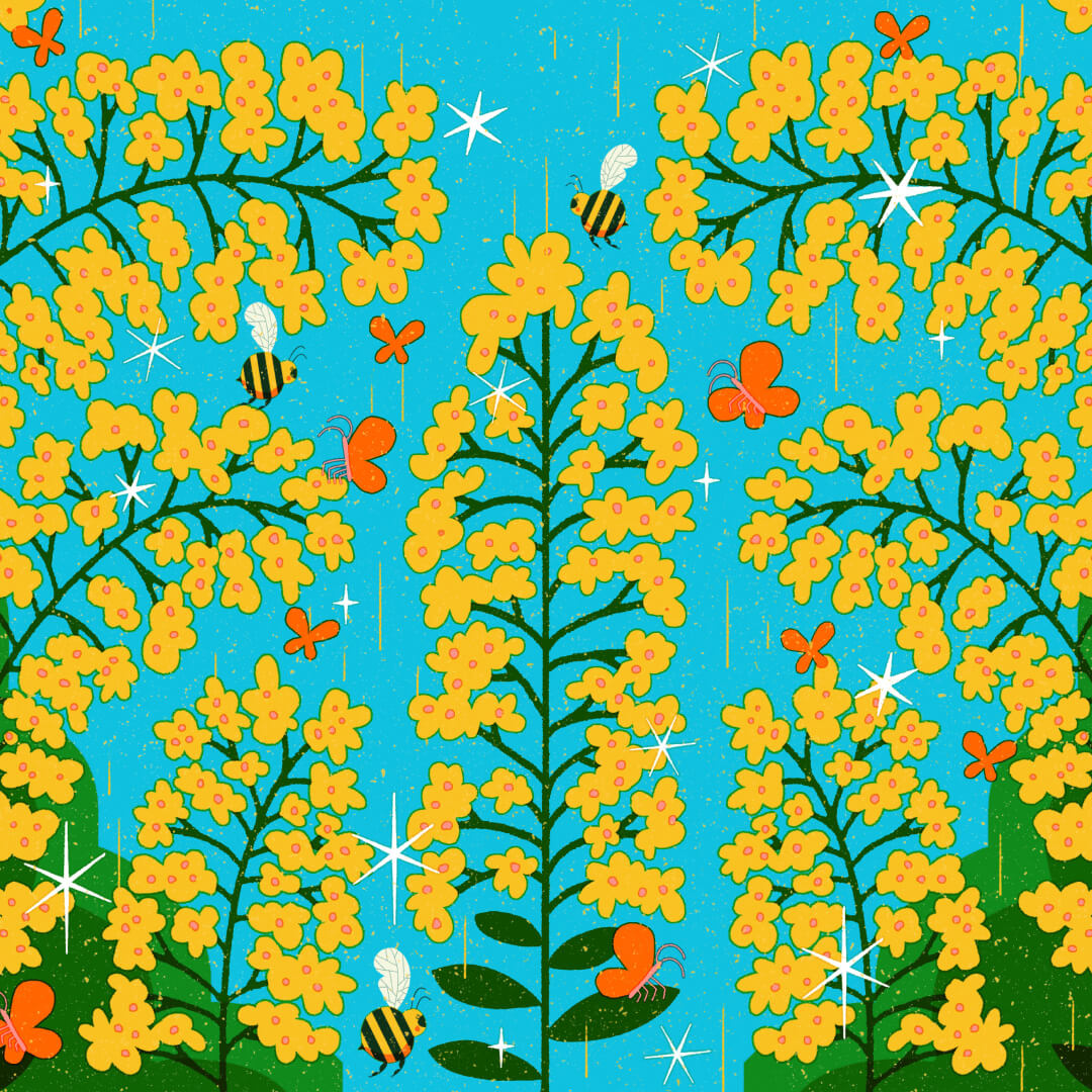 Goldenrod illustration