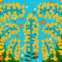 Goldenrod illustration