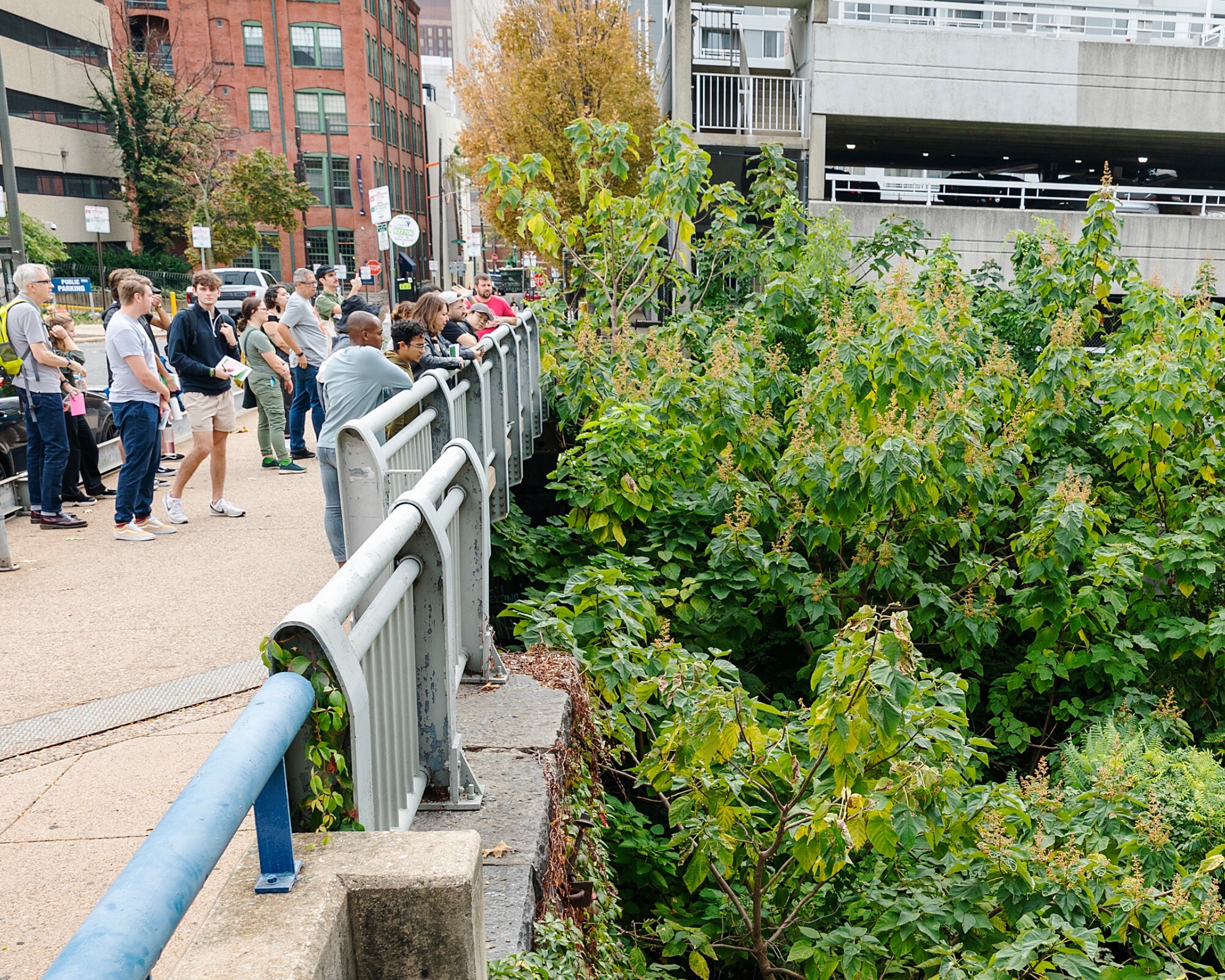 A tour group stands on the street level bridge above the Cut