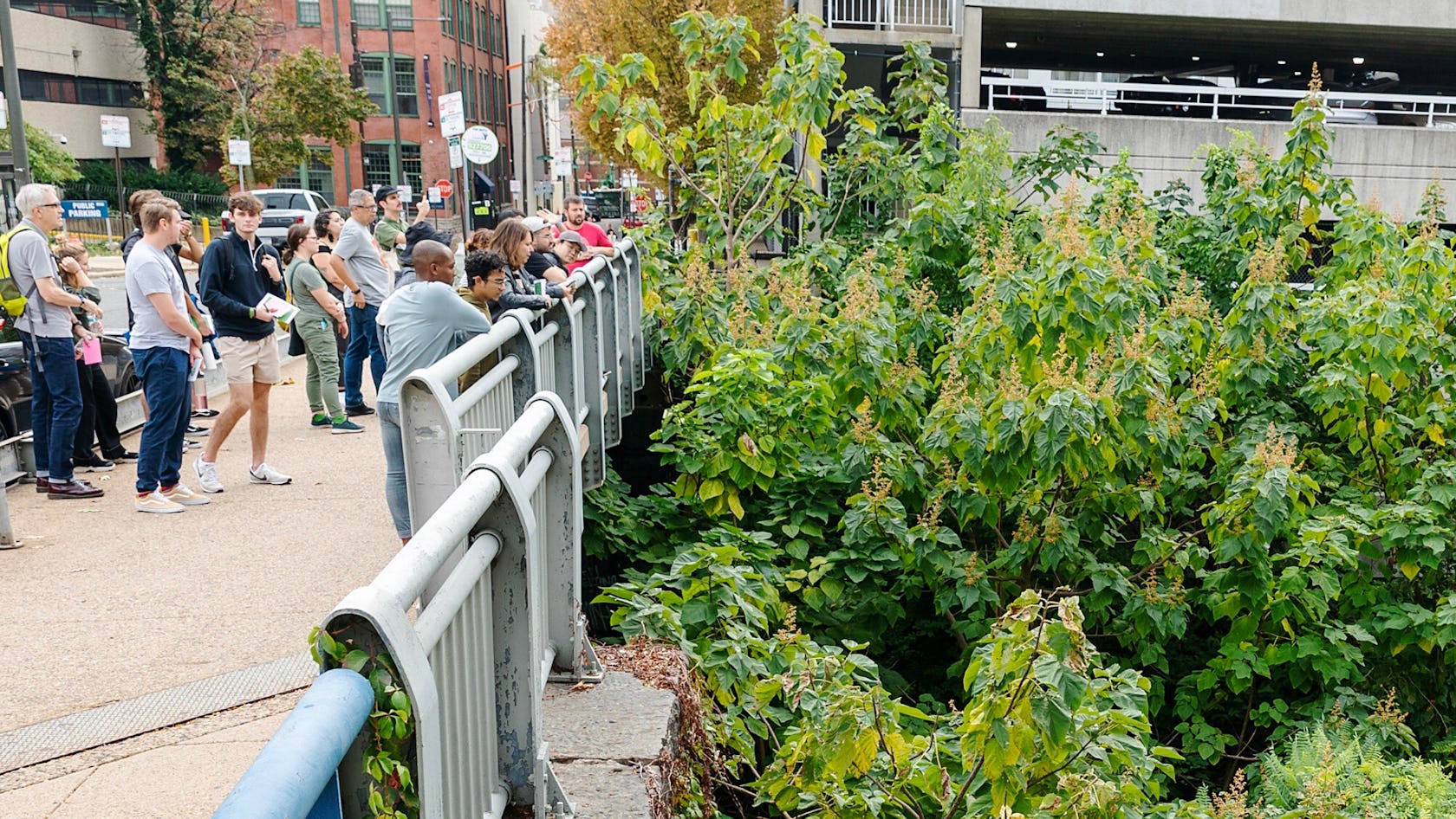 A tour group stands on the street level bridge above the Cut