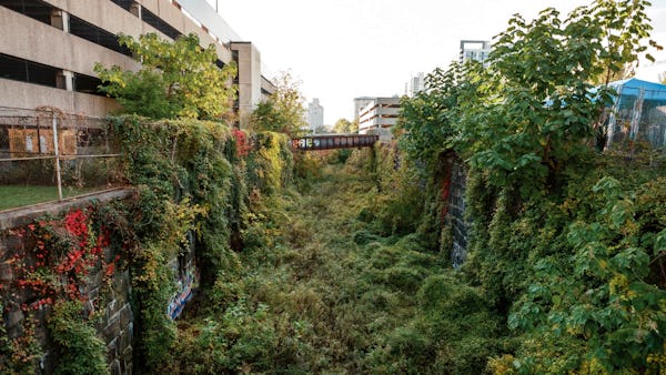 Image of the Cut, overgrown with plants and vines climbing the tall stone walls. 