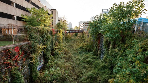 Image of the Cut, overgrown with plants and vines climbing the tall stone walls.