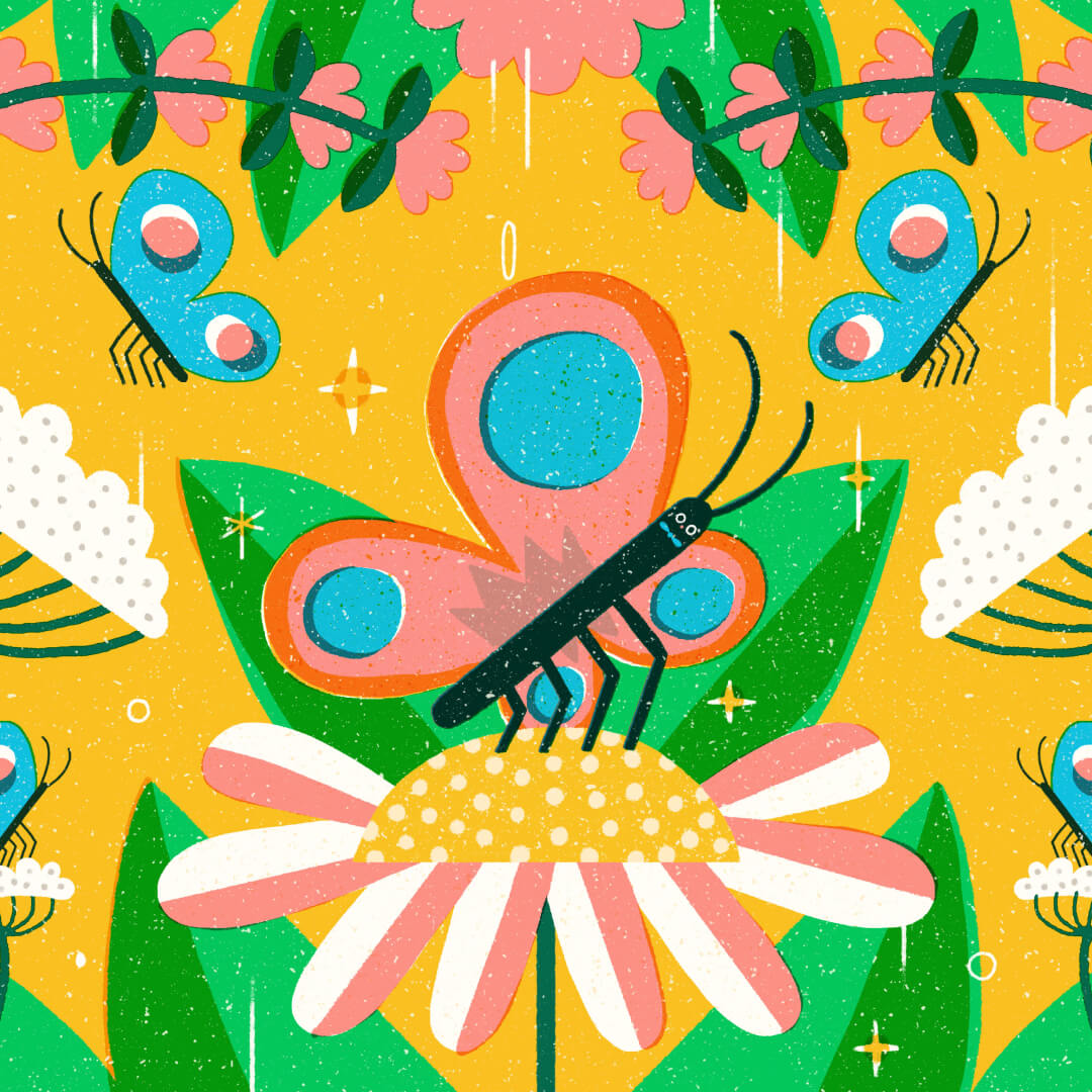 Butterfly illustration