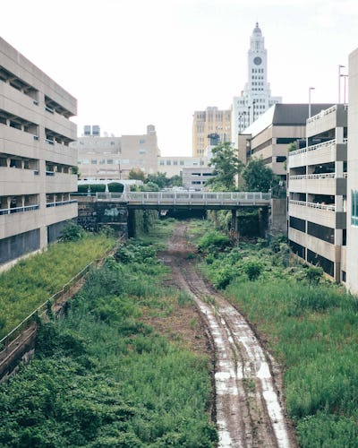 An image of the Cut, showing buildings on either side of an overgrown green space with a path going down the middle of it. A bridge passes above the green space, and the historic Inquirer building is seen in the background