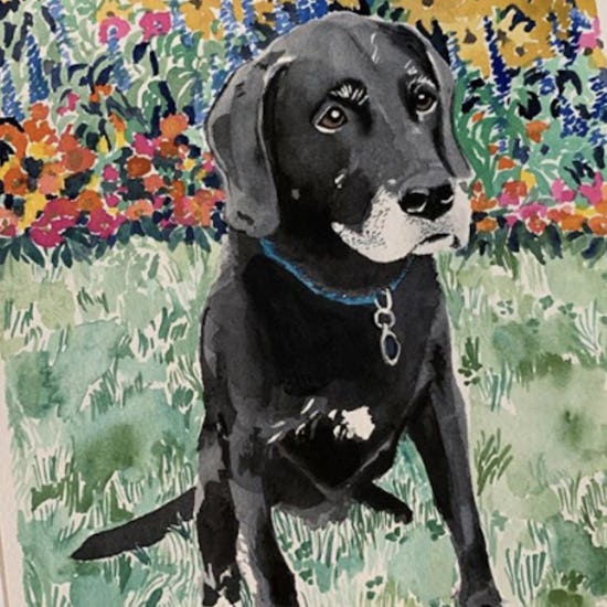 Watercolor portrait of a dog sitting in grass 