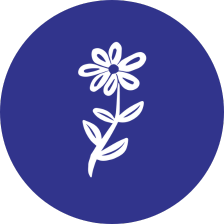 Blue circle with flower