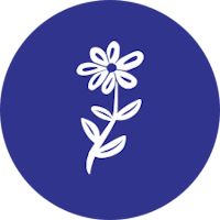 Blue circle with flower