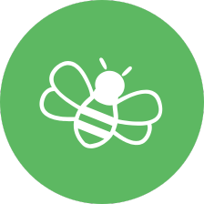 Green circle with bee image