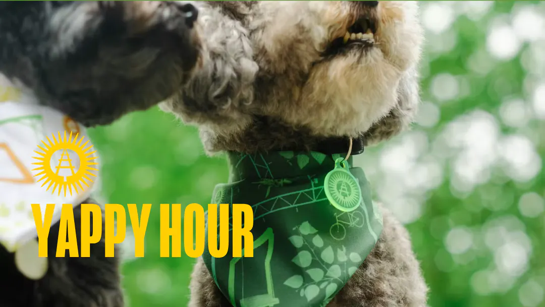 October Yappy Hour