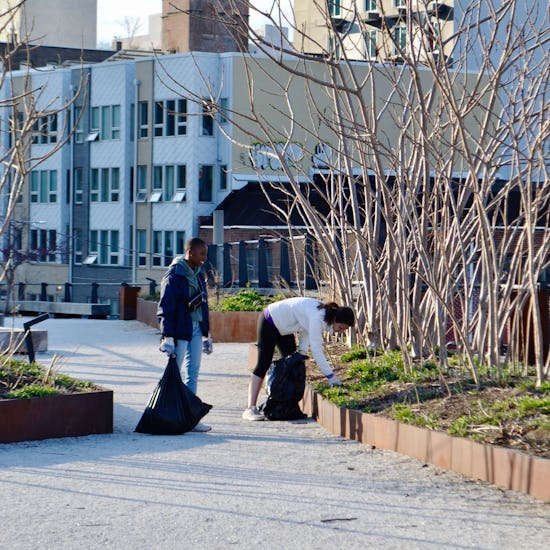 Volunteers pull weeds from planters