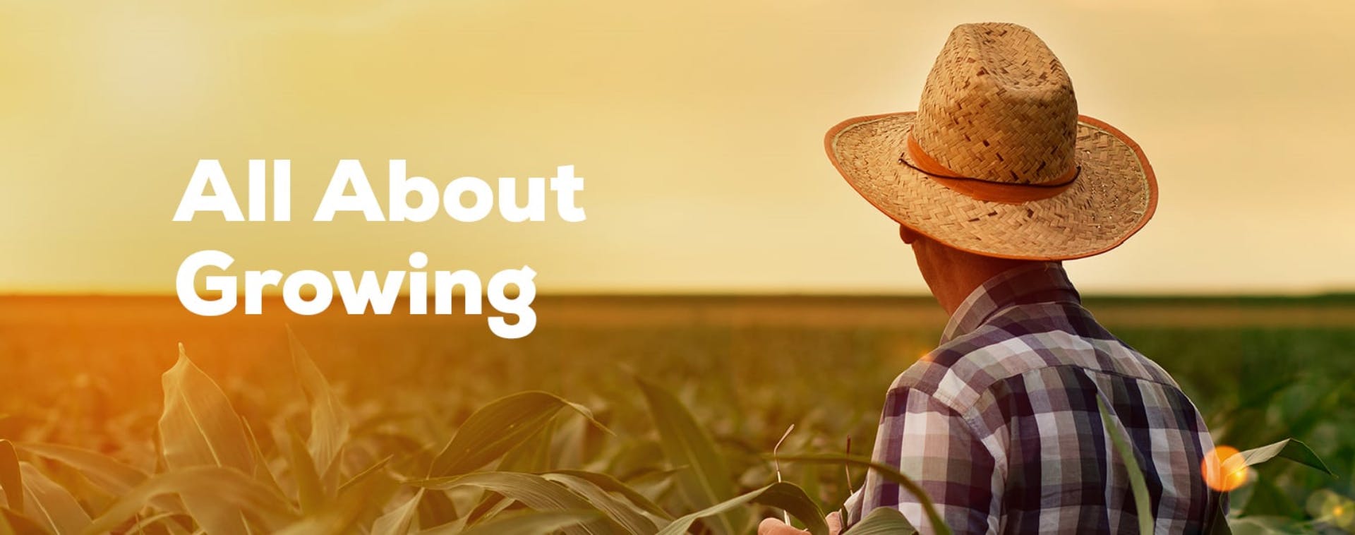 Man in field with text "All about growing"