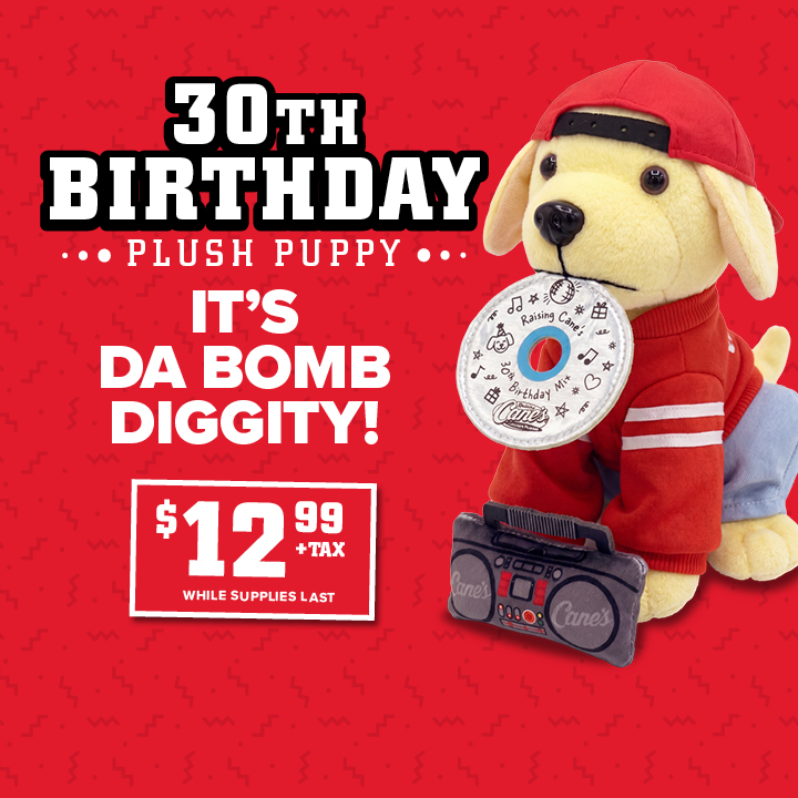 Plush Puppy - 30th Birthday