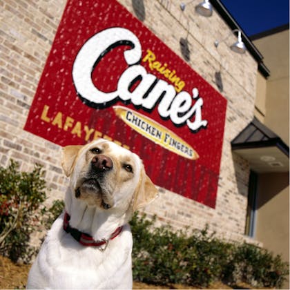 Raising Cane's Mascot- Cane II