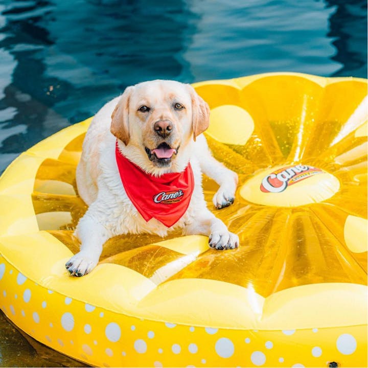 Raising Cane's Mascot