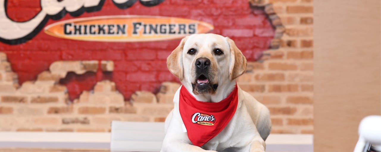 Raising Cane's Mascot- Cane III