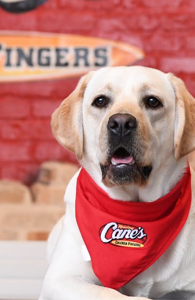 Raising Cane's Mascot- Cane III