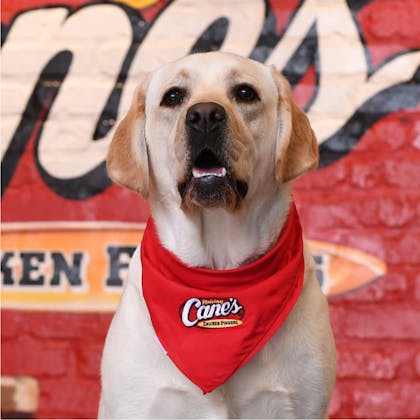 Raising Cane's Mascot- Cane III