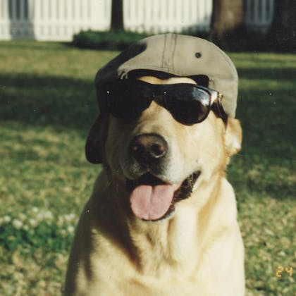 Raising Cane's Mascot- Cane I