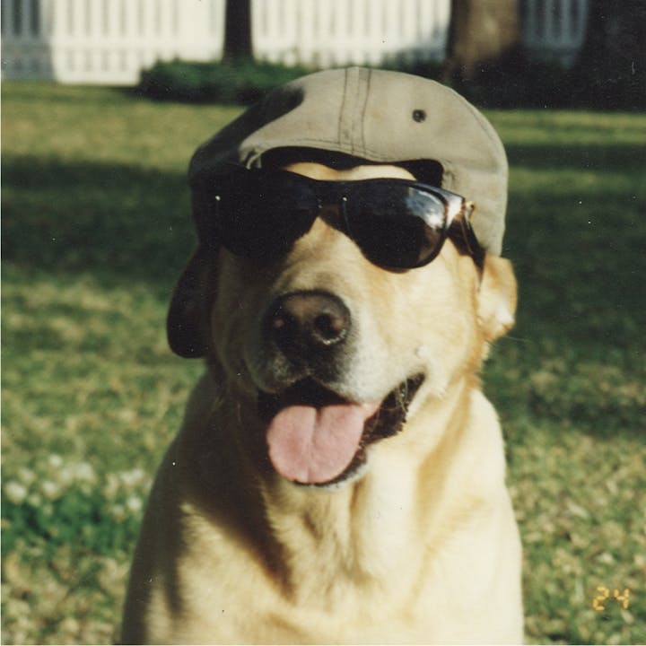 Raising Cane's Mascot