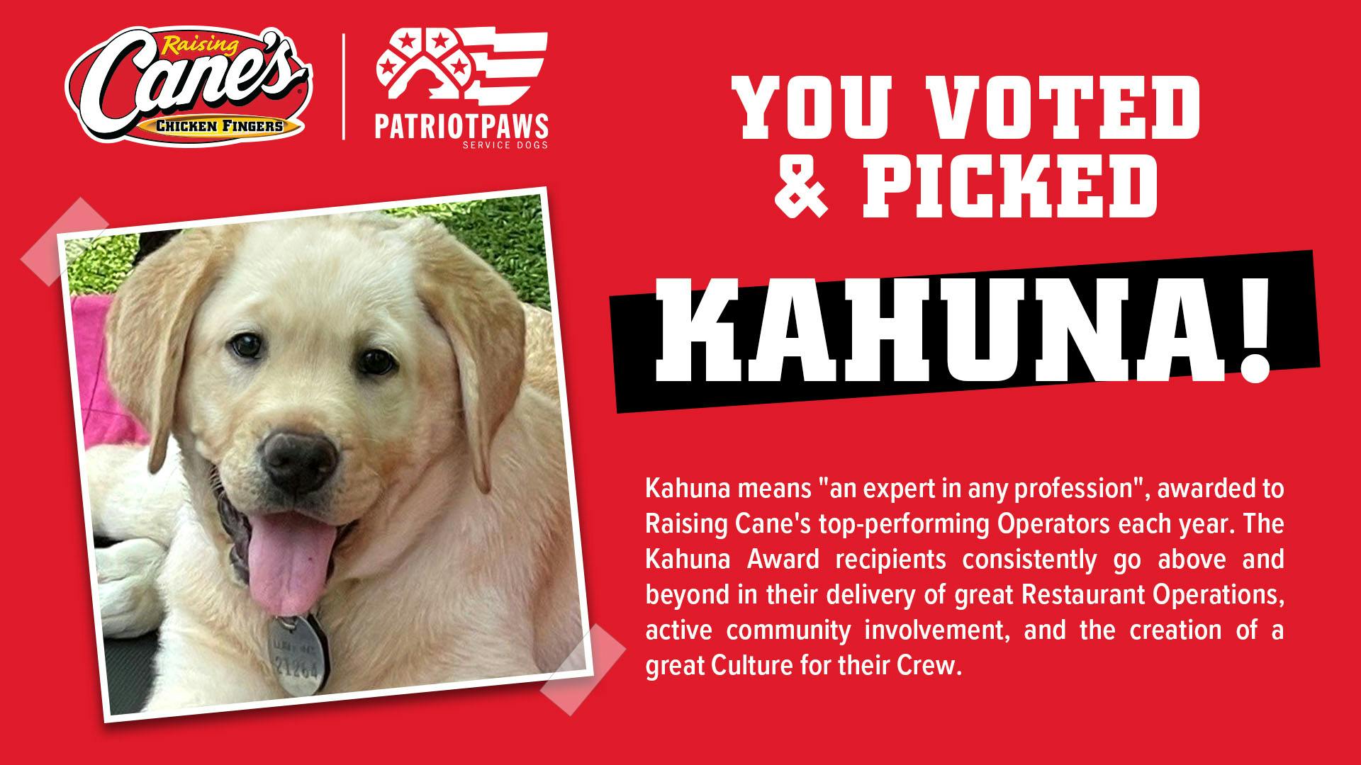 Kahuna the newest Patriot PAWS Service Dog