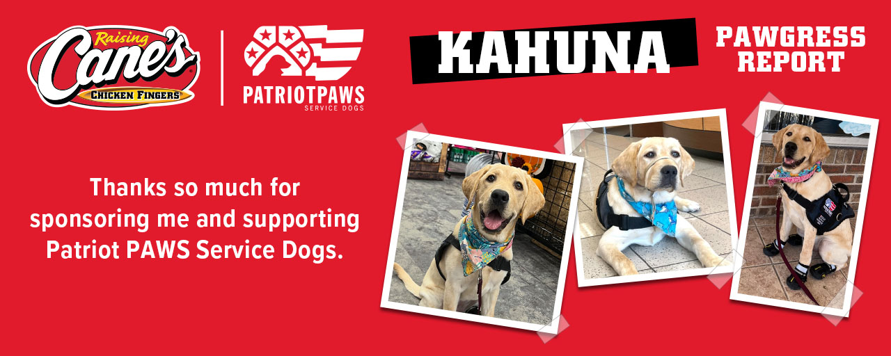 Kahuna's Progress in training