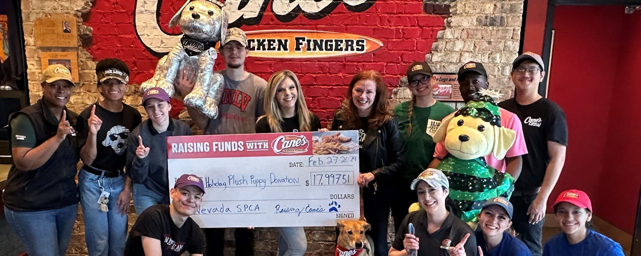 Nevada Plush Puppy Donation