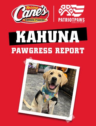 Kahuna's Progress in training