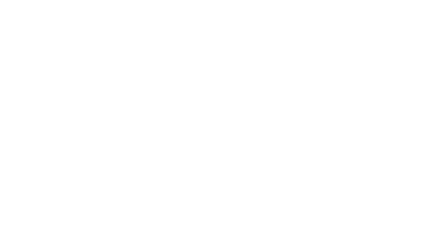 Cyberghost