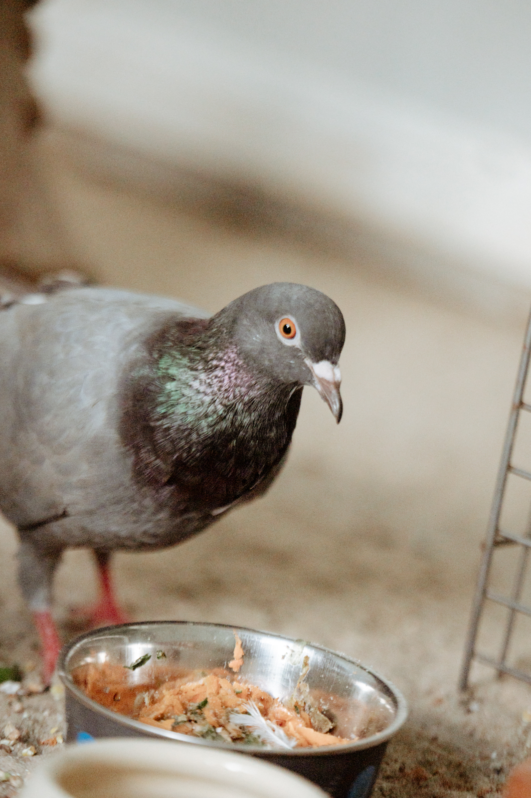 null
