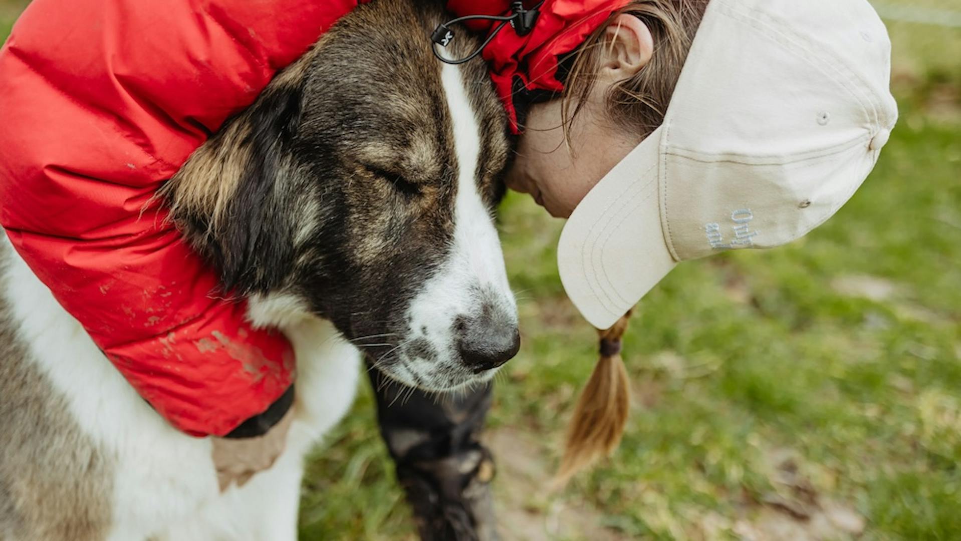 Arnold wird geknuddelt Arnold wird geknuddelt