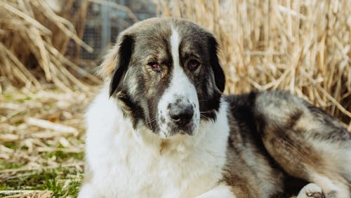 Arnold im Schilf Arnold im Schilf