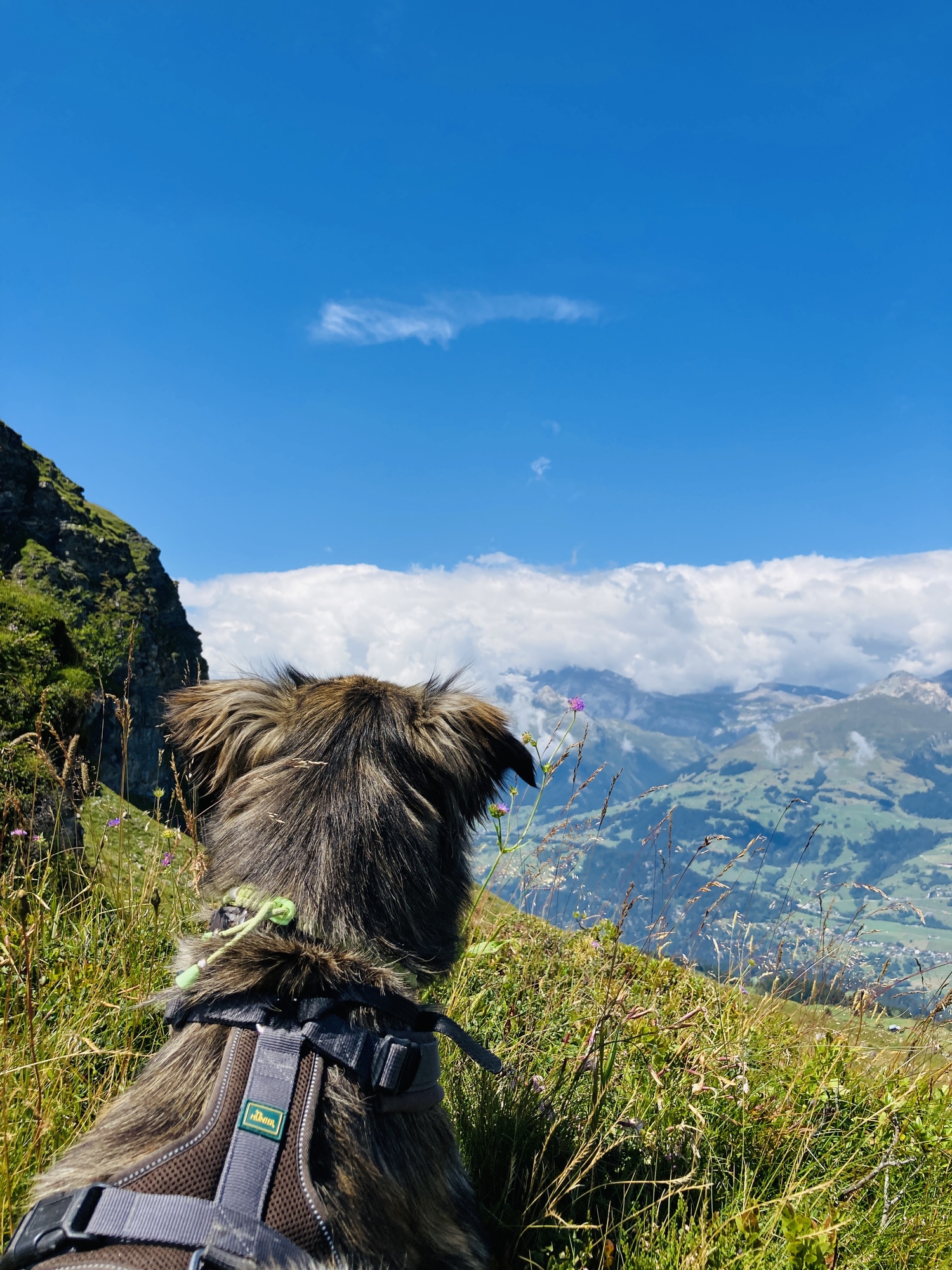 Outdoor Aktivitäten
