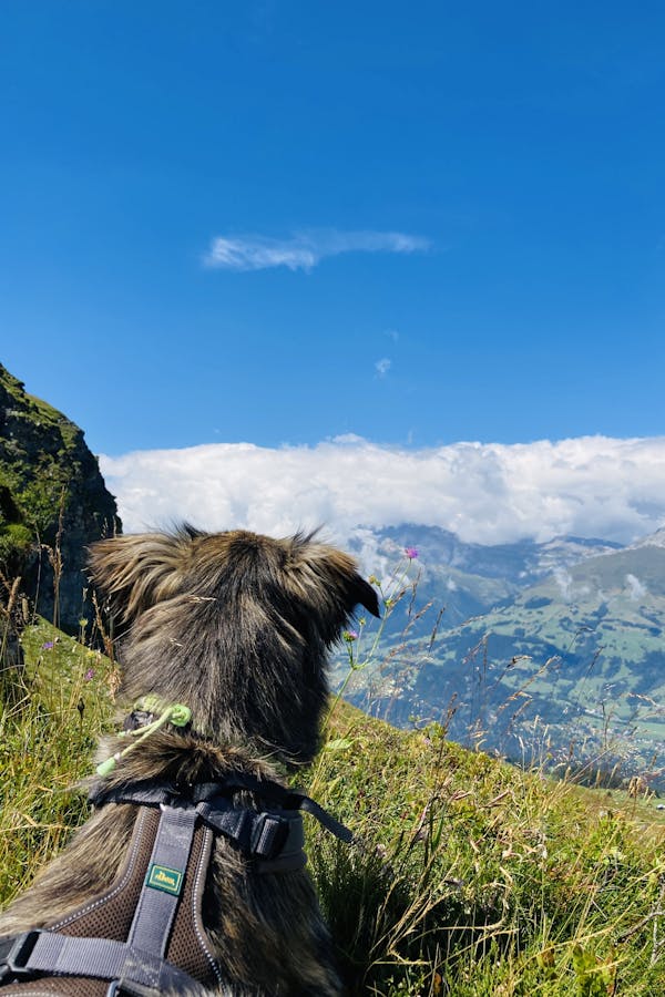 Outdoor Aktivitäten