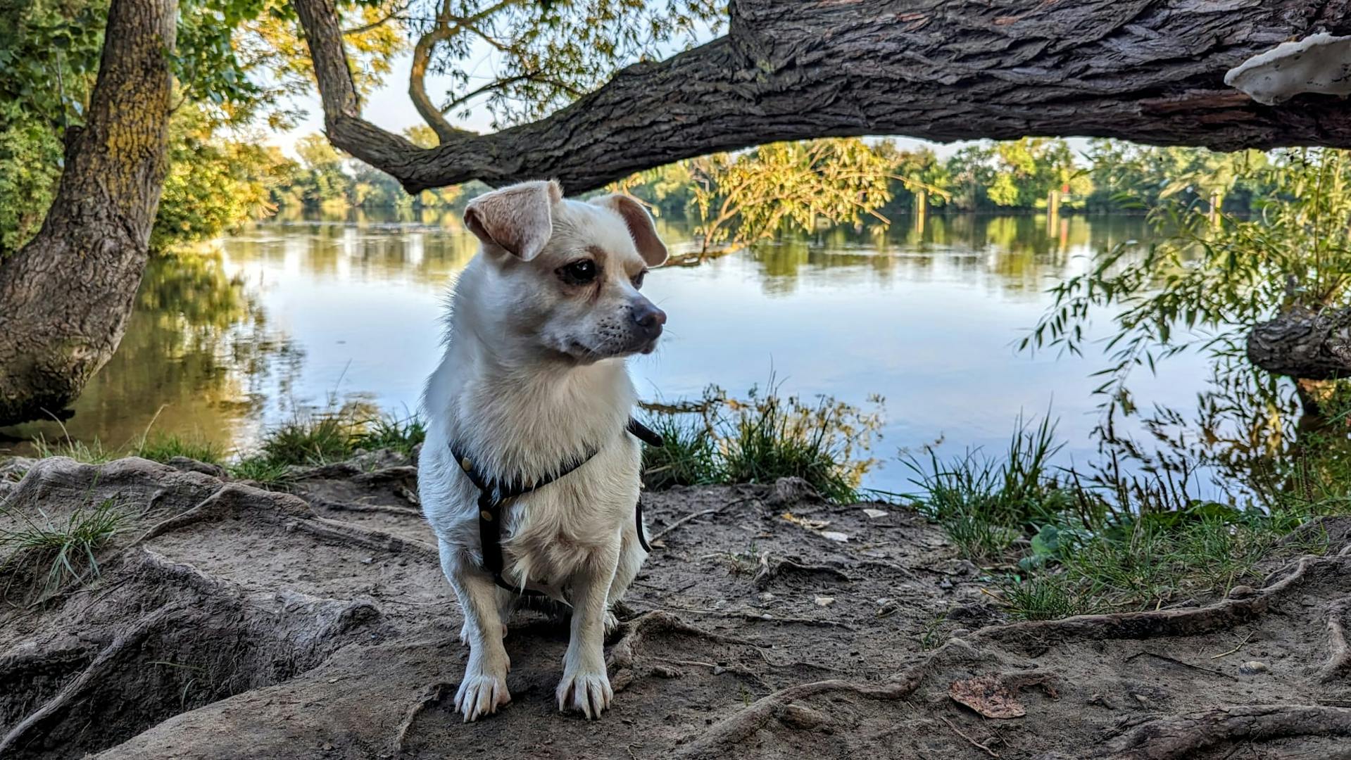 Judy in der Natur Judy in der Natur