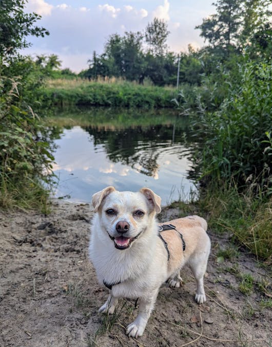 Judy am See Judy am See