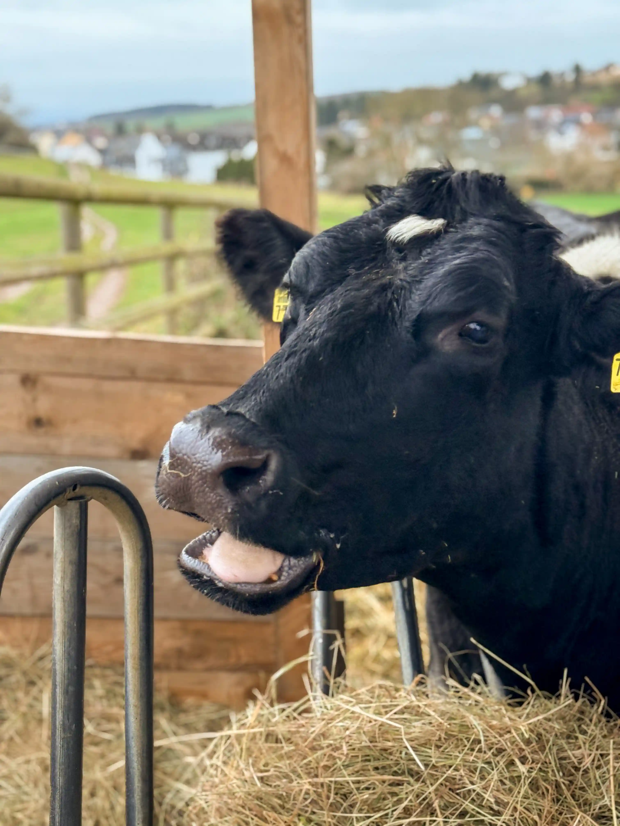 Mathilda freut sich über ihren Besuch