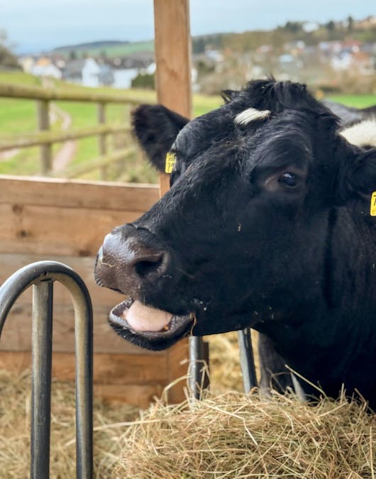 Mathilda freut sich über ihren Besuch Mathilda freut sich über ihren Besuch