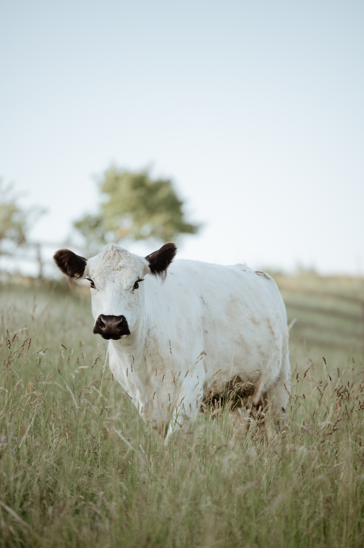 Hermine genießt den Ausblick