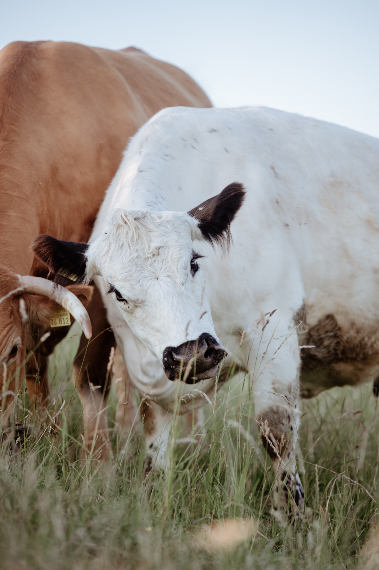 Hermine kuschelt sich an Wilma an