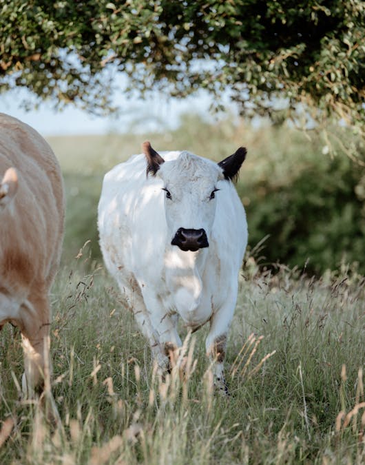 Hermine liebt ihr neues Zuhause Hermine liebt ihr neues Zuhause