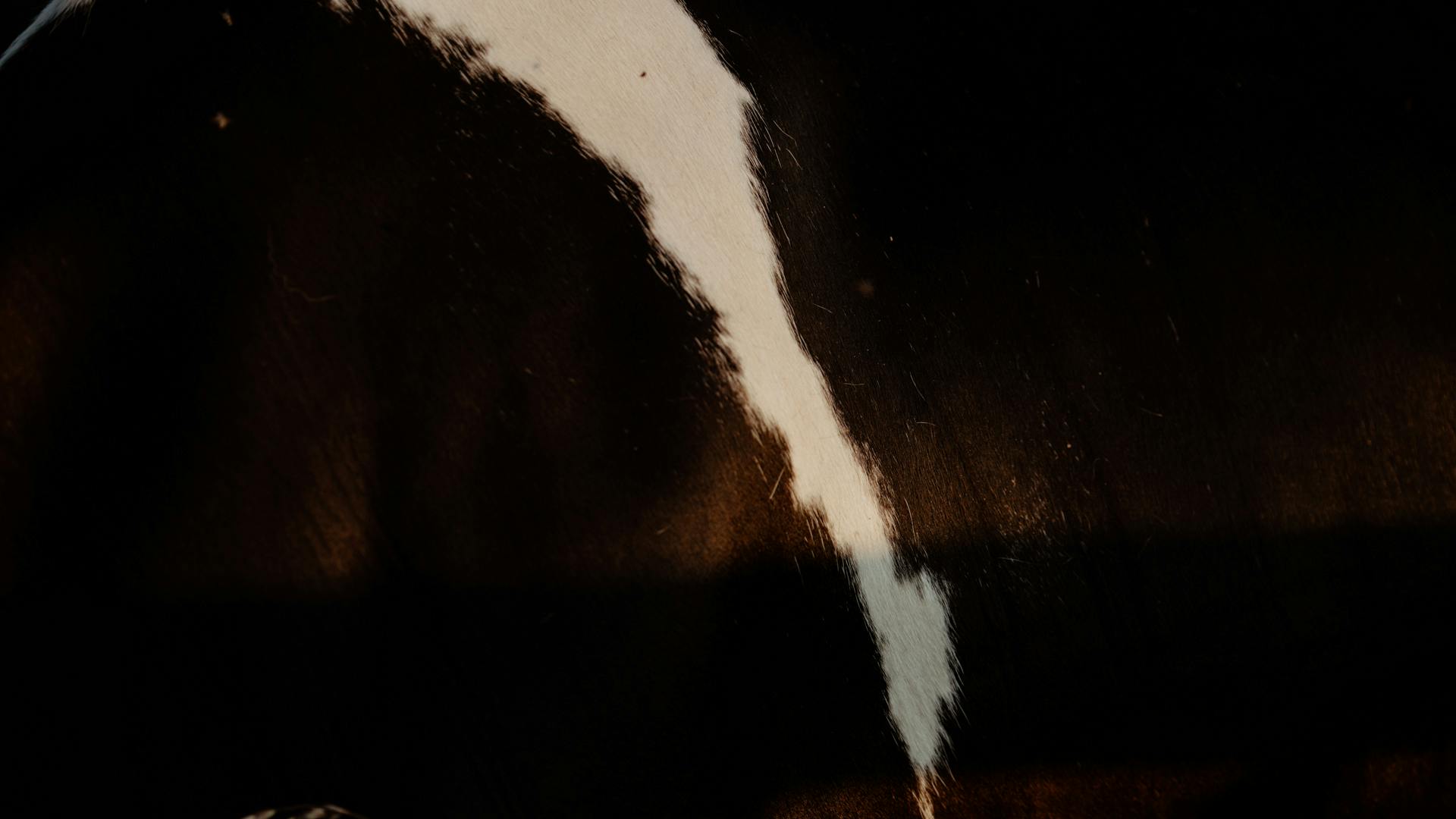 Ein Makro von Mathilda Ein Makro von Mathilda