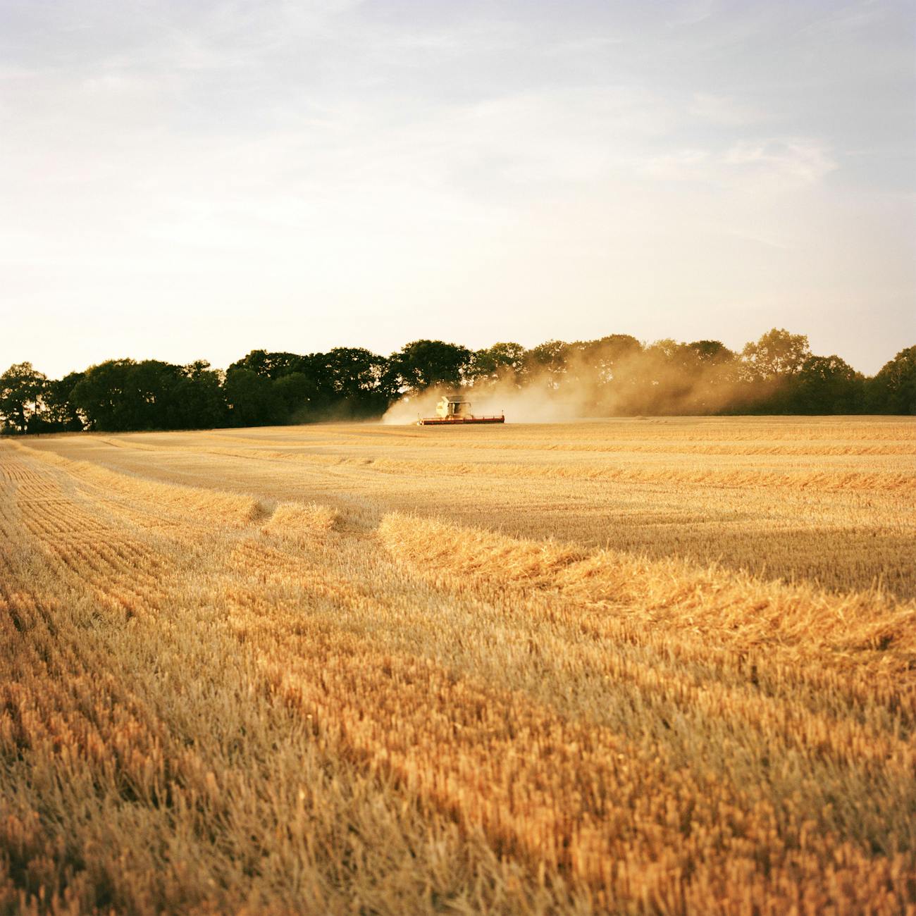 Harvesting at the Ramsbury Estate