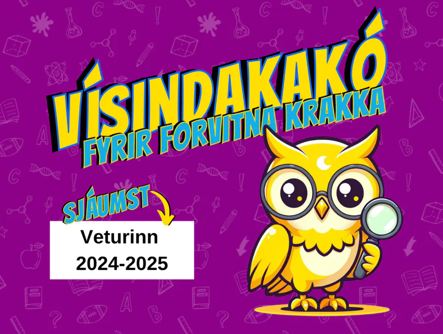 Ársskýrsla Rannís