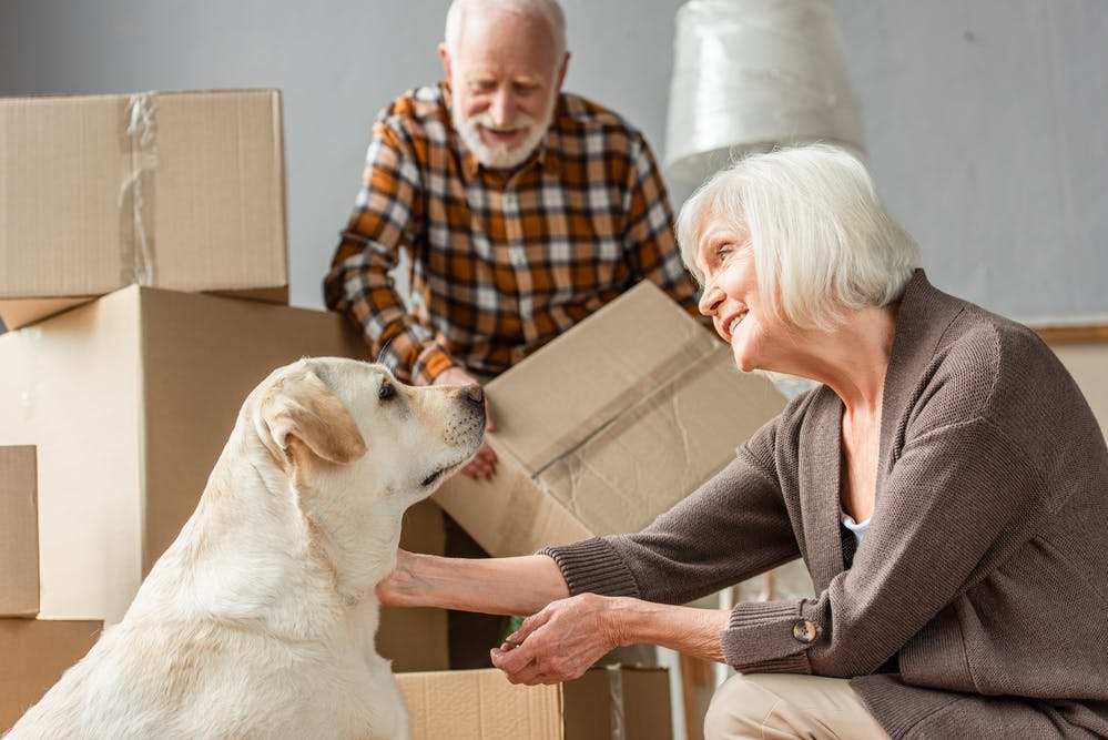 A old women looking at their dog with a old man in background boxing their movable items