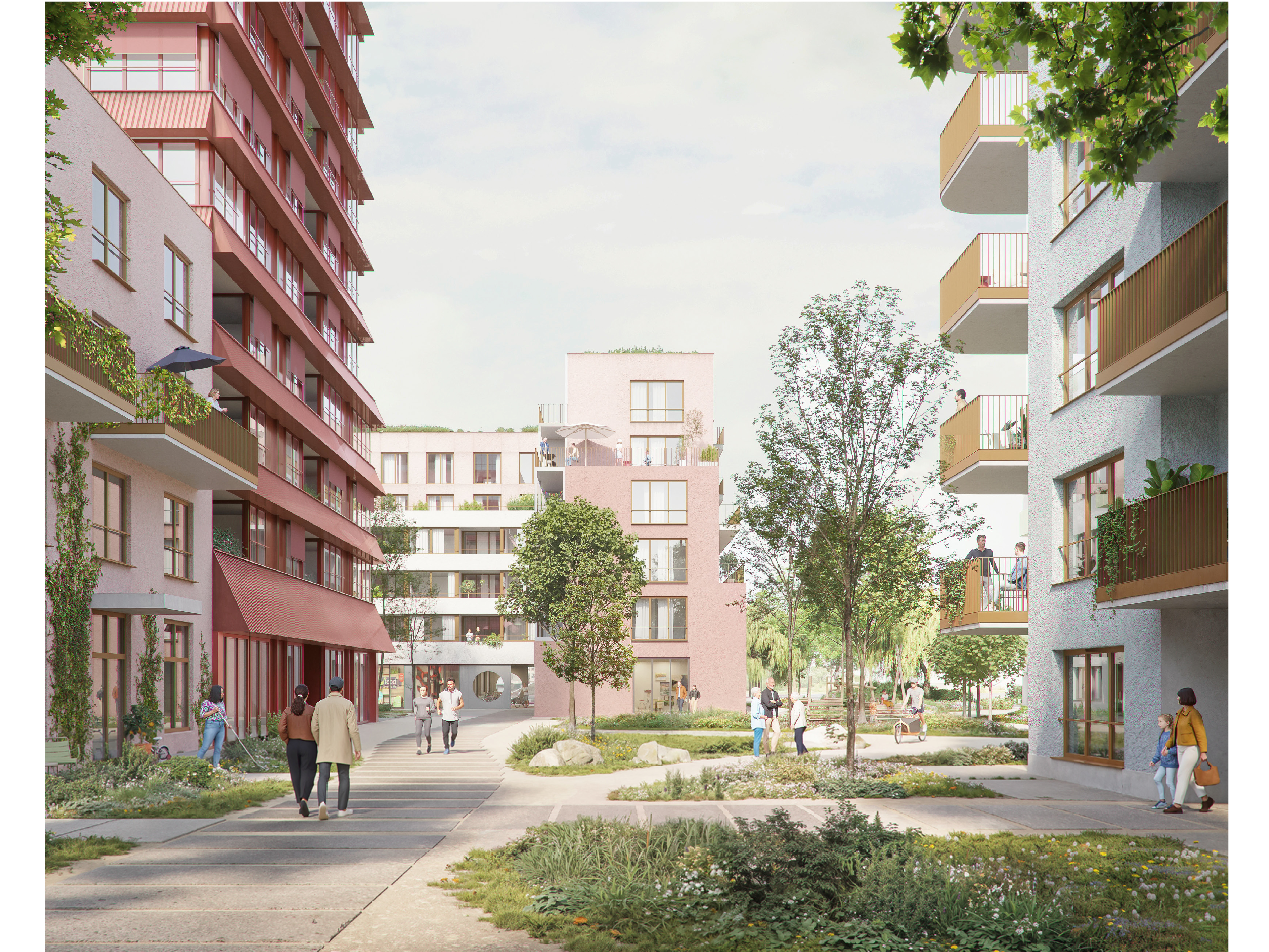 project main image