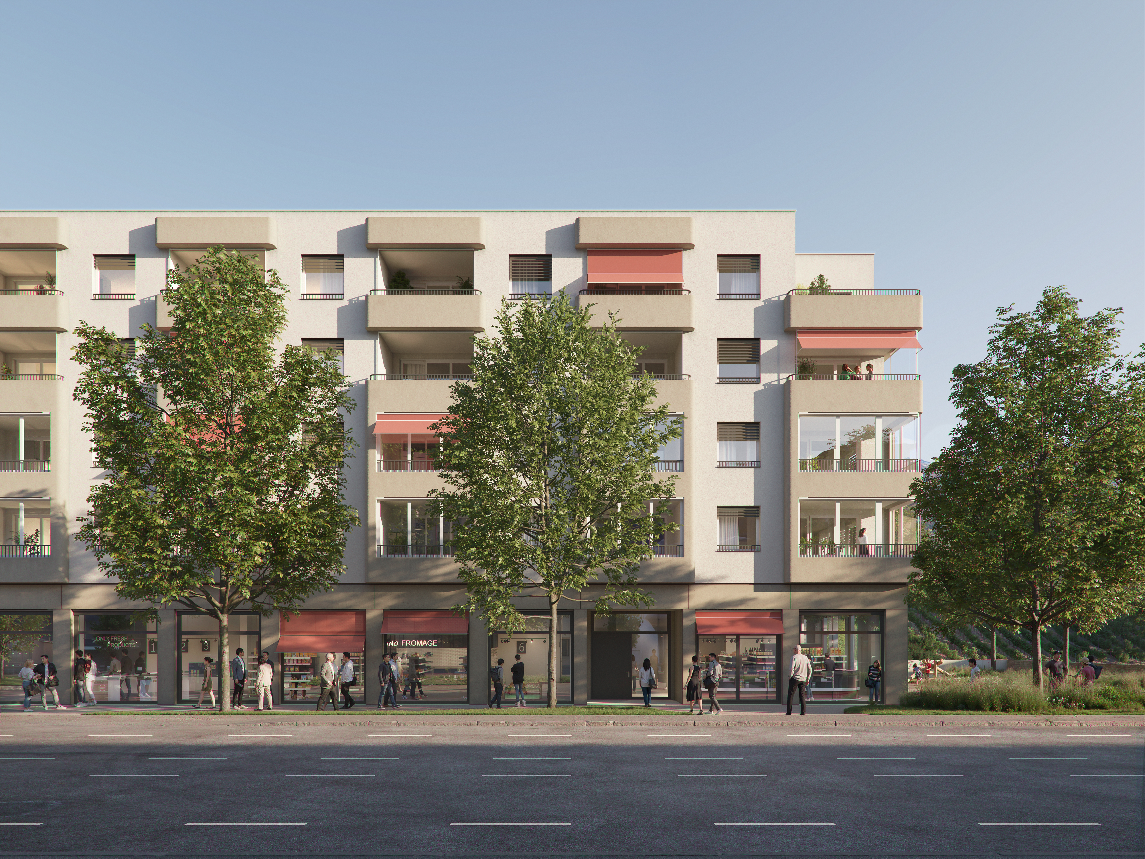 project main image