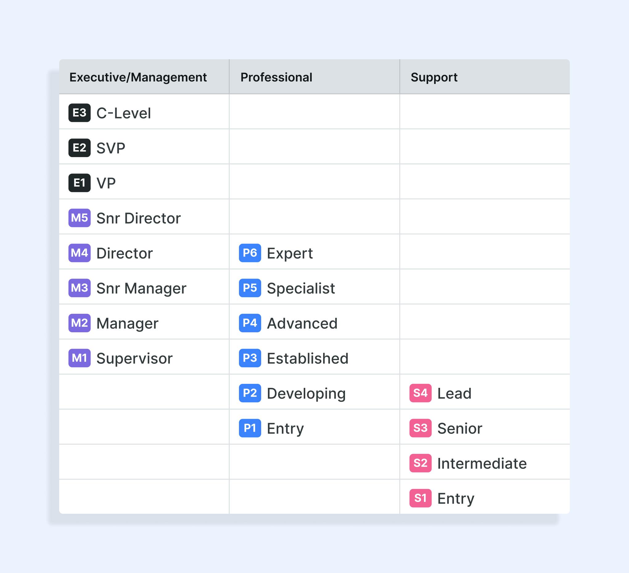 Ravio's level framework, showing job levels across support, professional, management, and executive career tracks.