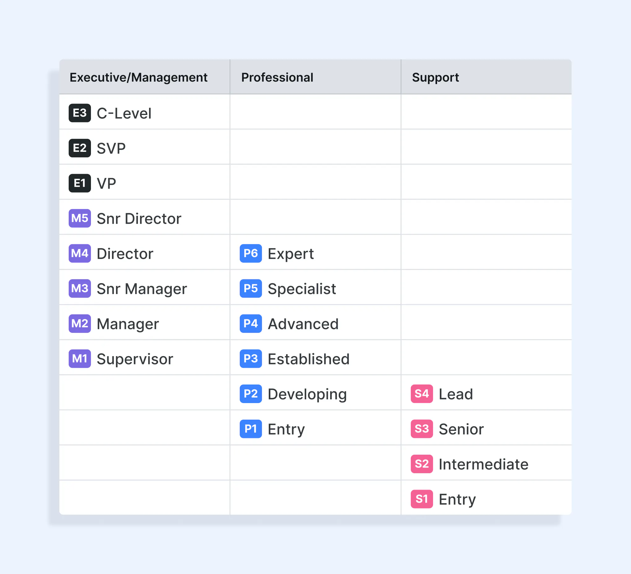 Ravios Level-Framework, das Job Levels über Support-, Professional-, Management- und Executive-Karrierepfade hinweg zeigt.